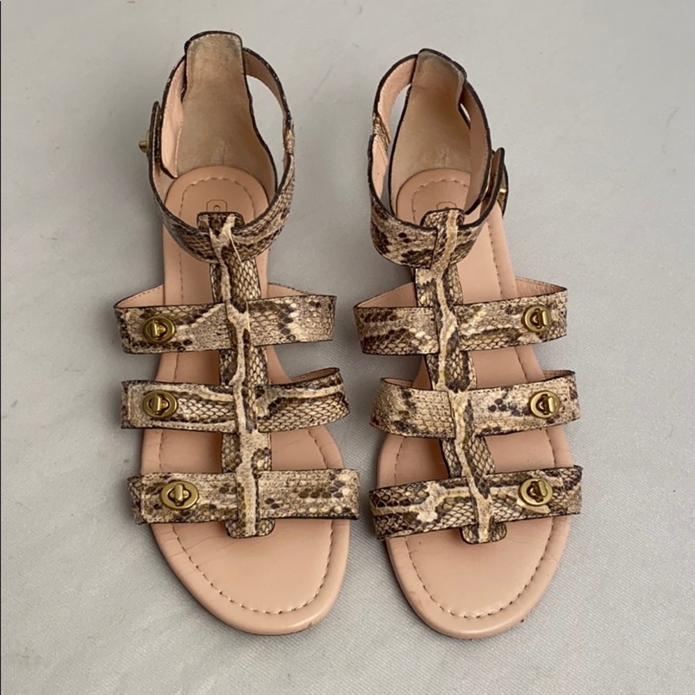 Coach Oleta Tan Brown Python Snake Gladiator Sandals 9